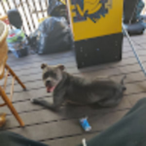 Meet your Posher, Jeffrey